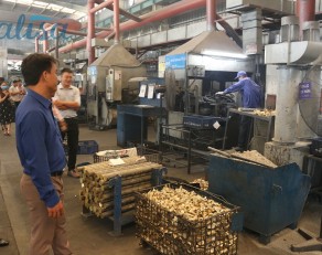 Công nghệ đúc đồng trong Italisa - Tinh hoa hội tụ từ Powerway